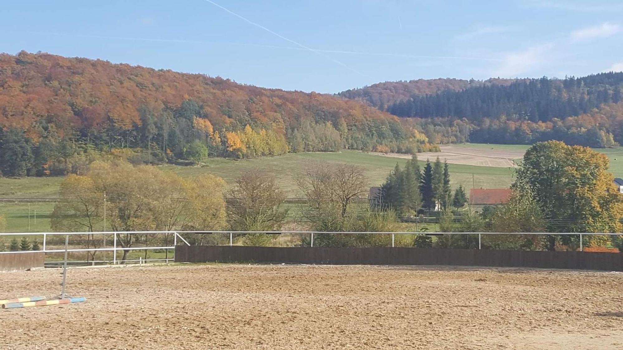 Agroturystyka Agro-Podkówka Marciszow Zewnętrze zdjęcie