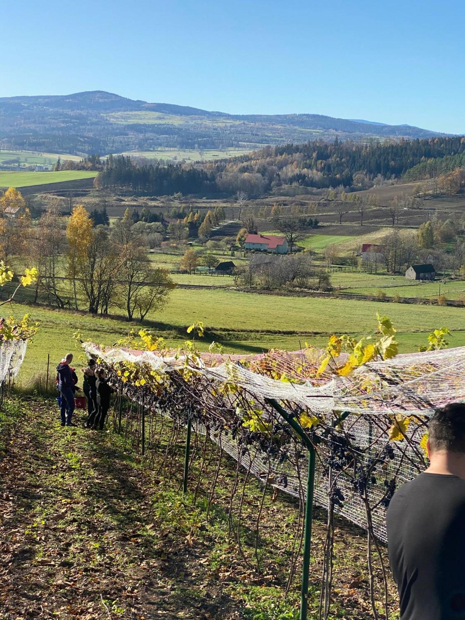 Agroturystyka Agro-Podkówka Marciszow Zewnętrze zdjęcie