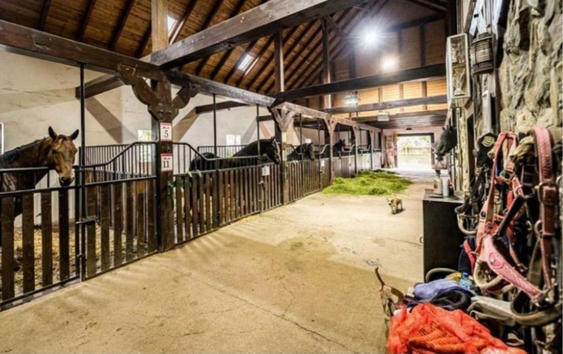 Agroturystyka Agro-Podkówka Marciszow Zewnętrze zdjęcie